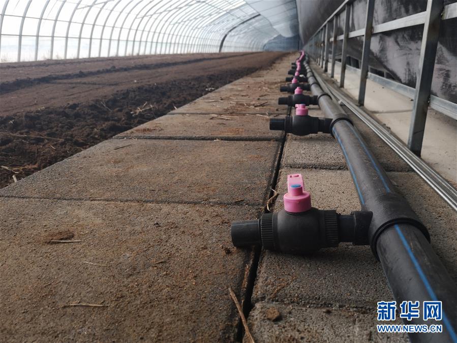 （在習(xí)近平新時代中國特色社會主義思想指引下&mdash;&mdash;新時代新作為新篇章&middot;圖文互動）（3）黑土地上感受&ldquo;中國飯碗&rdquo;新變化