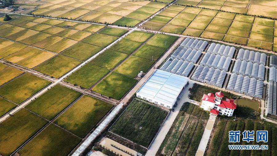 （新華全媒頭條&middot;愛國情 奮斗者&middot;圖文互動）（8）一個村的奮斗，一個時代的巨變&mdash;&mdash;記敢&ldquo;蹚新路&rdquo;的小崗人