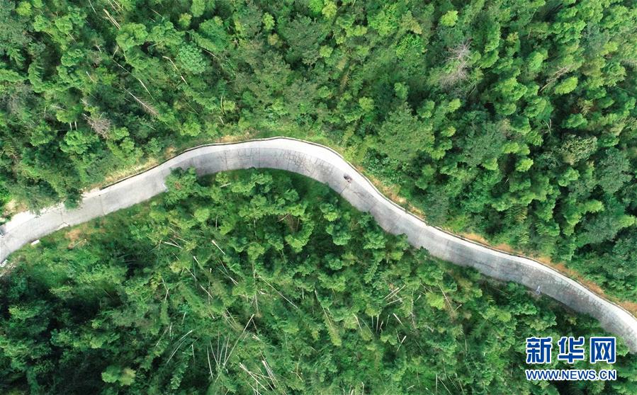 （中國網(wǎng)事&middot;感動2019&middot;圖文互動）（7）鄉(xiāng)村教師高自仁：60多根拐杖，撐起42年教學(xué)路