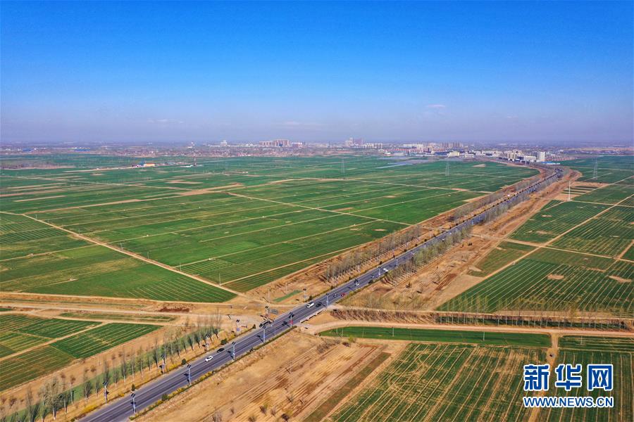 （新華全媒頭條&middot;圖文互動）（2）奮進(jìn)，向著未來之城！&mdash;&mdash;河北雄安新區(qū)建設(shè)發(fā)展兩周年紀(jì)實