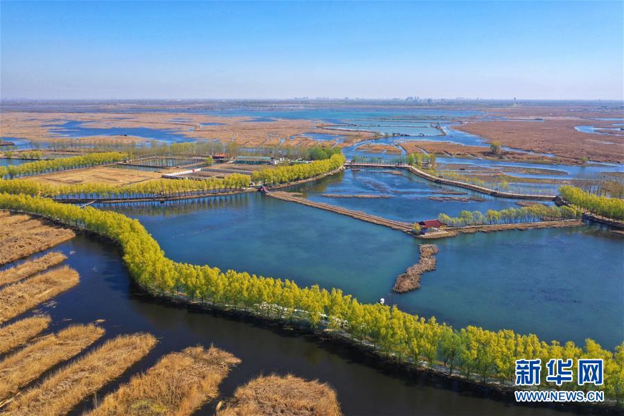 （新華全媒頭條&middot;圖文互動）（5）奮進(jìn)，向著未來之城！&mdash;&mdash;河北雄安新區(qū)建設(shè)發(fā)展兩周年紀(jì)實