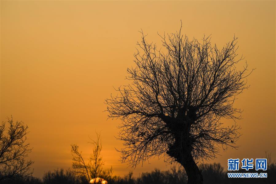 （新華全媒頭條&middot;圖文互動(dòng)）（2）一步千年，&ldquo;最后的沙漠部落&rdquo;遷入新家園