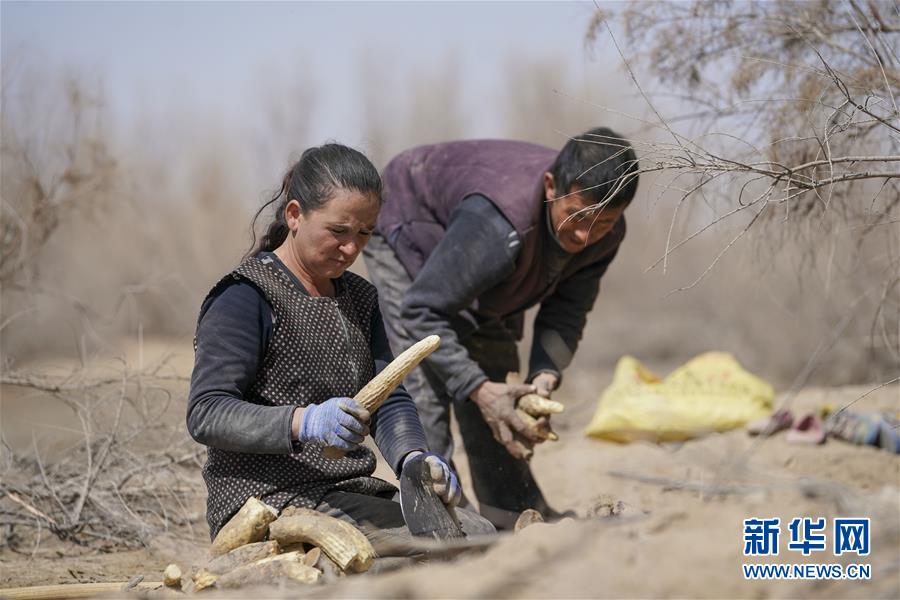 （新華全媒頭條&middot;圖文互動(dòng)）（6）一步千年，&ldquo;最后的沙漠部落&rdquo;遷入新家園