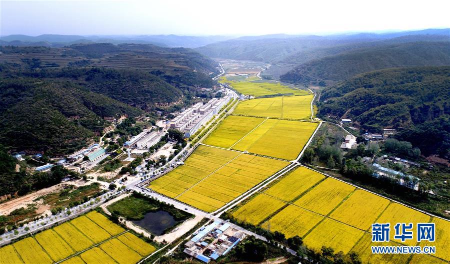 （新華全媒頭條&middot;圖文互動）（8）春暉沐浴寶塔山&mdash;&mdash;寫在延安各縣整體脫貧摘帽之際