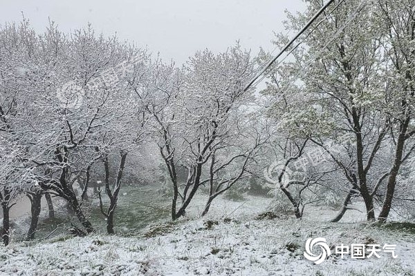 冷空氣要撤啦！今日全國降水整體弱 華南仍有強(qiáng)對流
