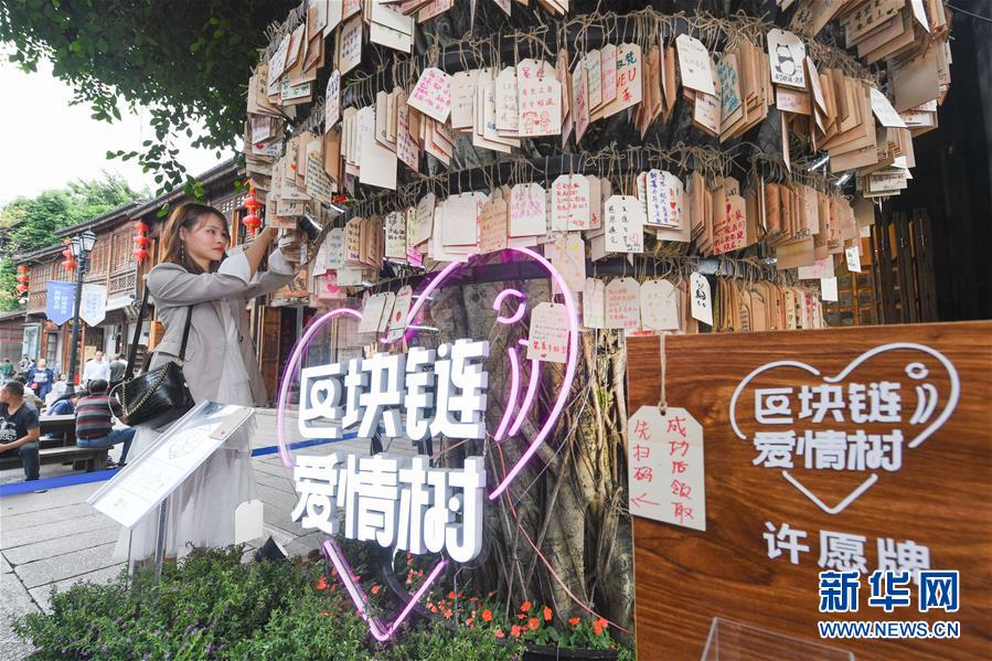 （新華全媒頭條&middot;圖文互動(dòng)）（9）從&ldquo;數(shù)字中國&rdquo;看中國發(fā)展新信號(hào)、新亮點(diǎn)、新趨勢(shì)