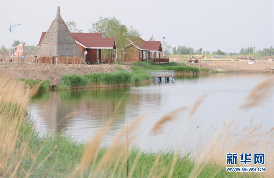 (北京世園會(huì)·圖文互動(dòng))(4)“百湖之鄉(xiāng)”磴口縣再現(xiàn)生態(tài)田園風(fēng)光