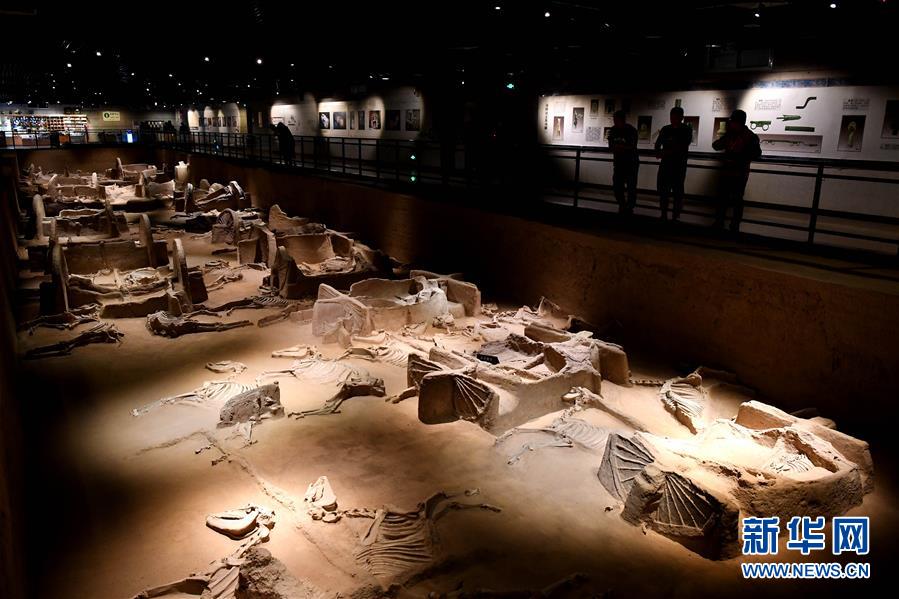 （新華全媒頭條&middot;圖文互動）（4）&ldquo;若問古今興廢事，請君只看洛陽城&rdquo;&mdash;&mdash;千年古都&ldquo;烹制&rdquo;博物館盛宴