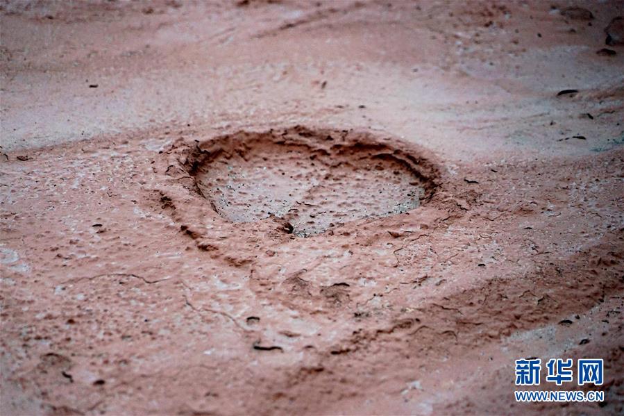 （新華全媒頭條&middot;圖文互動）（8）&ldquo;若問古今興廢事，請君只看洛陽城&rdquo;&mdash;&mdash;千年古都&ldquo;烹制&rdquo;博物館盛宴