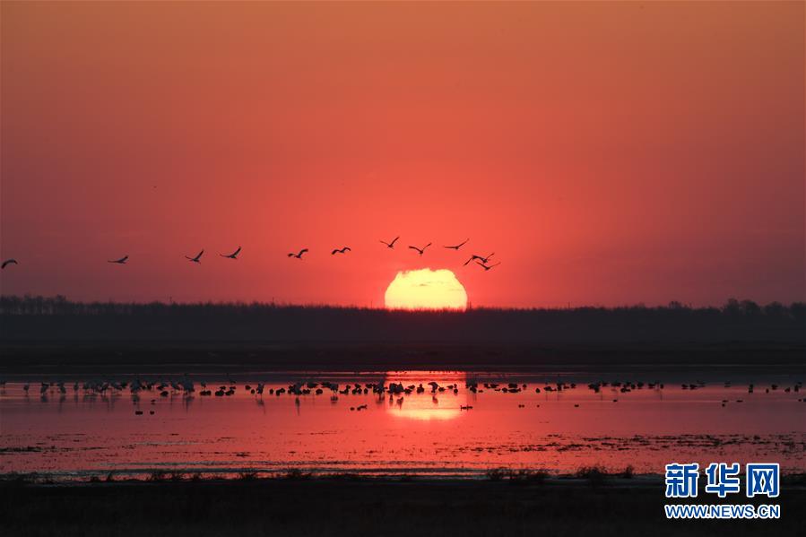 (北京世園會(huì)·圖文互動(dòng))(3)吉林分區(qū)域推進(jìn)生態(tài)保護(hù) 讓綠色發(fā)展底氣更足