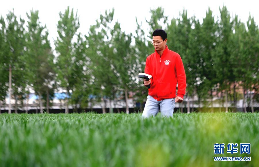 (新華全媒頭條·愛國情 奮斗者·圖文互動)(5)把論文寫在祖國的大地上——中國農(nóng)業(yè)大學(xué)46年扎根河北曲周服務(wù)鄉(xiāng)村振興紀實