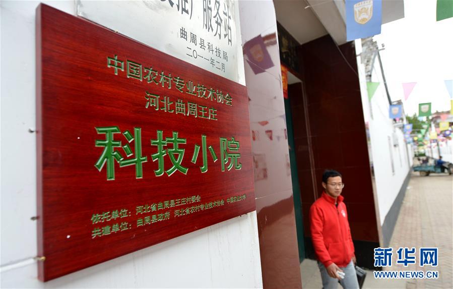 (新華全媒頭條·愛國情 奮斗者·圖文互動)(11)把論文寫在祖國的大地上——中國農(nóng)業(yè)大學(xué)46年扎根河北曲周服務(wù)鄉(xiāng)村振興紀實