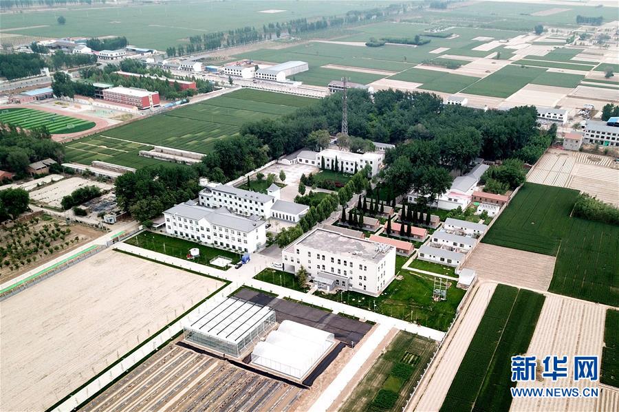 (新華全媒頭條·愛國情 奮斗者·圖文互動)(12)把論文寫在祖國的大地上——中國農(nóng)業(yè)大學(xué)46年扎根河北曲周服務(wù)鄉(xiāng)村振興紀實
