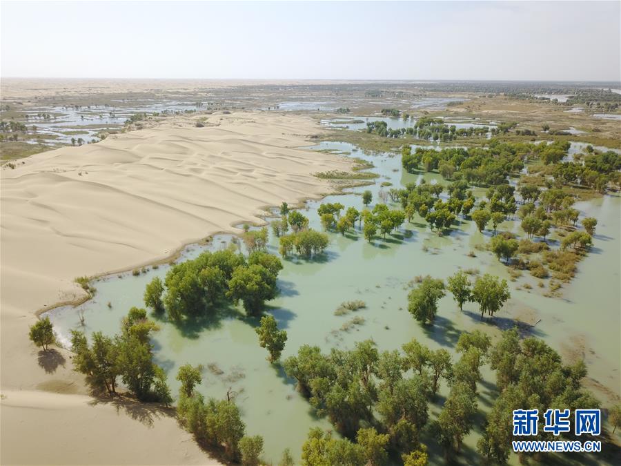 （新華全媒頭條&middot;圖文互動(dòng)）（3）大河歸來