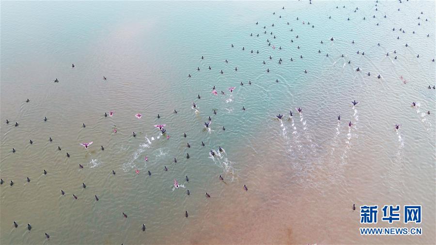 （新華全媒頭條&middot;圖文互動(dòng)）（6）大河歸來