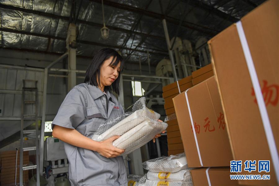 (在習(xí)近平新時(shí)代中國(guó)特色社會(huì)主義思想指引下——新時(shí)代新作為新篇章·圖文互動(dòng))(6)大學(xué)生種田讓農(nóng)民“老把式”開了眼——吉林長(zhǎng)白山下的稻田新事