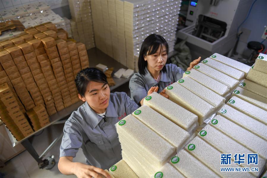 (在習(xí)近平新時(shí)代中國(guó)特色社會(huì)主義思想指引下——新時(shí)代新作為新篇章·圖文互動(dòng))(7)大學(xué)生種田讓農(nóng)民“老把式”開了眼——吉林長(zhǎng)白山下的稻田新事