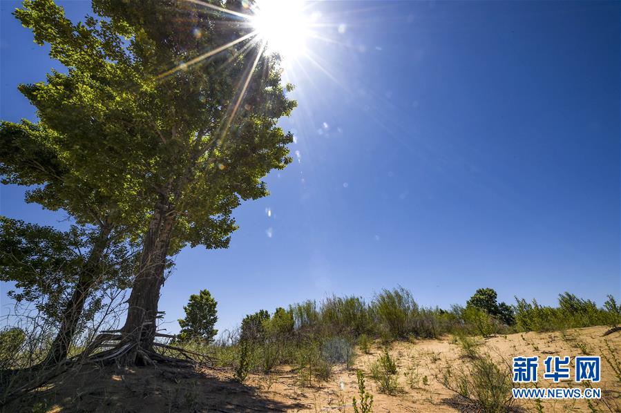（新華全媒頭條&middot;壯麗70年&middot;奮斗新時代&middot;圖文互動）（5）中國減貧的西海固報告