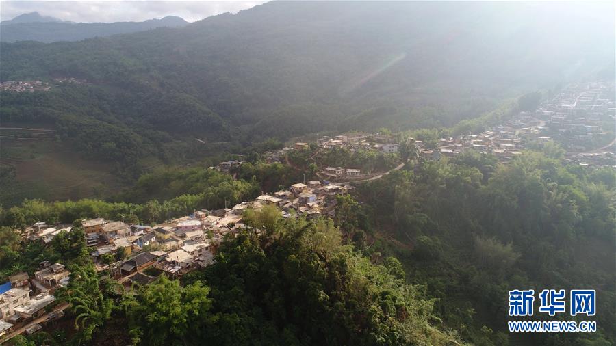 （直過民族脫貧攻堅(jiān)&middot;圖文互動）（1）又見白鷴鳥