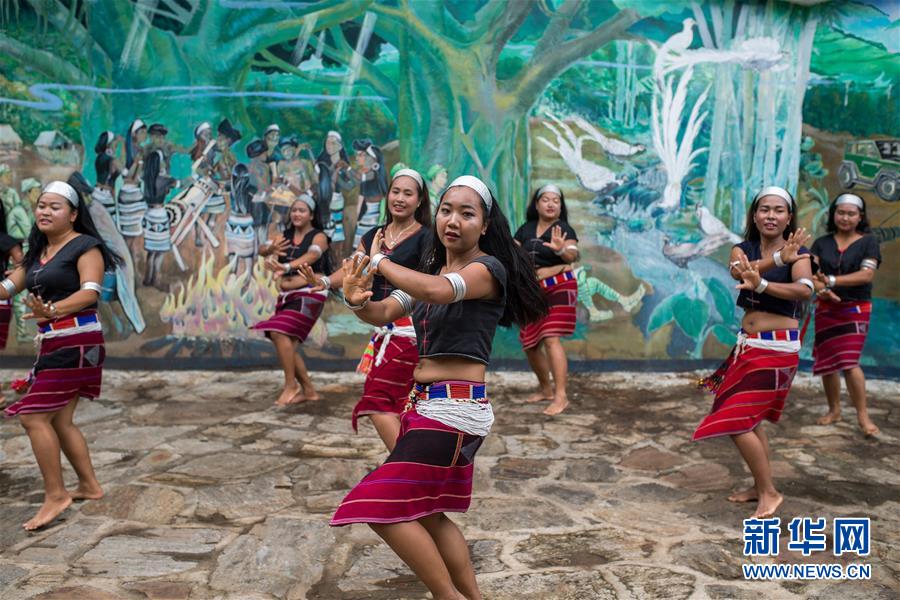 （直過民族脫貧攻堅(jiān)&middot;圖文互動）（2）又見白鷴鳥