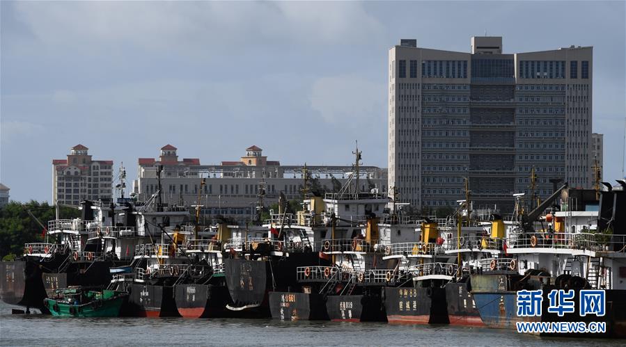 （社會）（1）?？冢捍盎馗郾芘_風