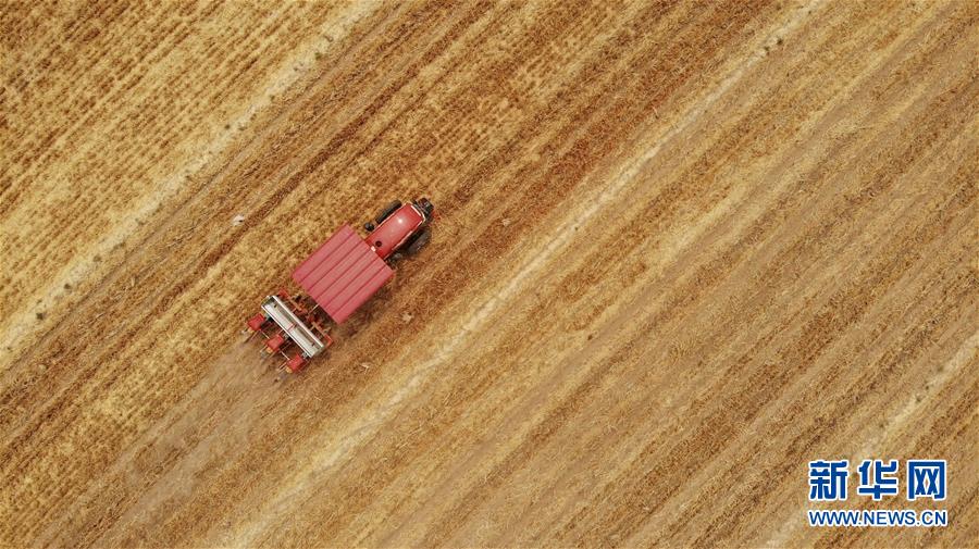 (新華全媒頭條·圖文互動)(7)一個傳統(tǒng)農(nóng)業(yè)縣的脫貧之路——來自河北新河的調(diào)查報(bào)告