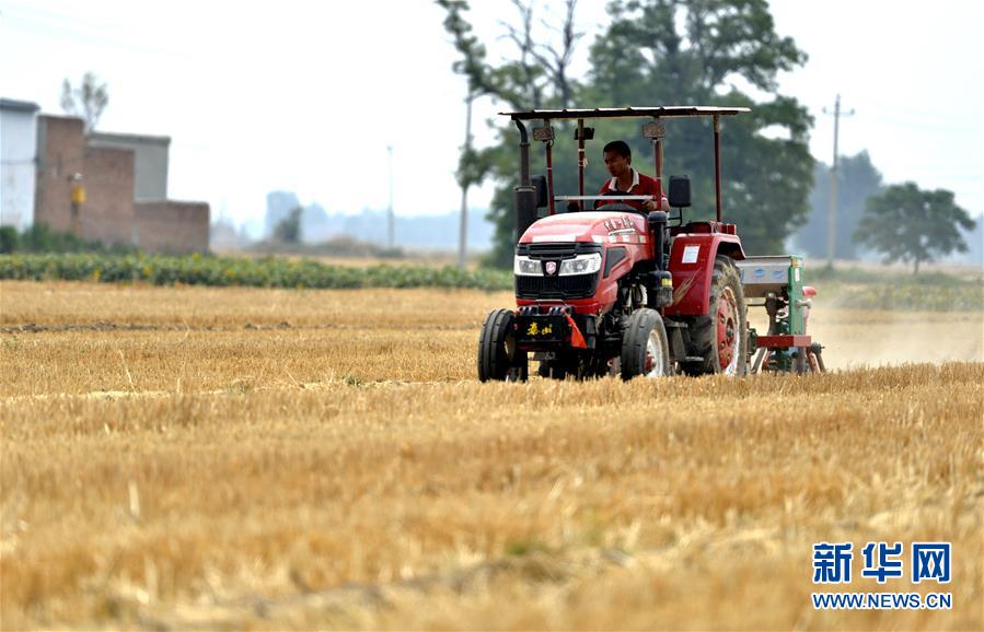 (新華全媒頭條·圖文互動)(8)一個傳統(tǒng)農(nóng)業(yè)縣的脫貧之路——來自河北新河的調(diào)查報(bào)告