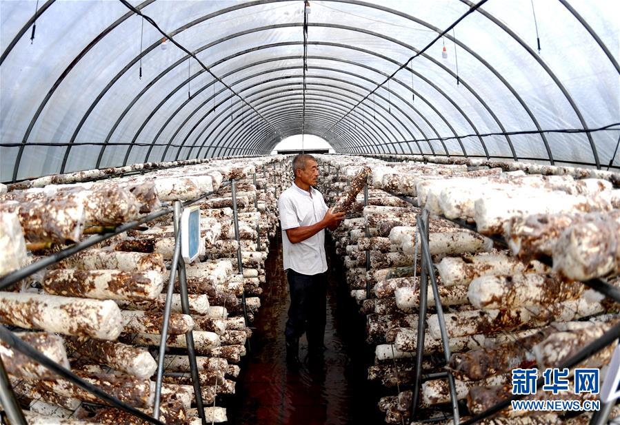 (新華全媒頭條·圖文互動)(10)一個傳統(tǒng)農(nóng)業(yè)縣的脫貧之路——來自河北新河的調(diào)查報(bào)告