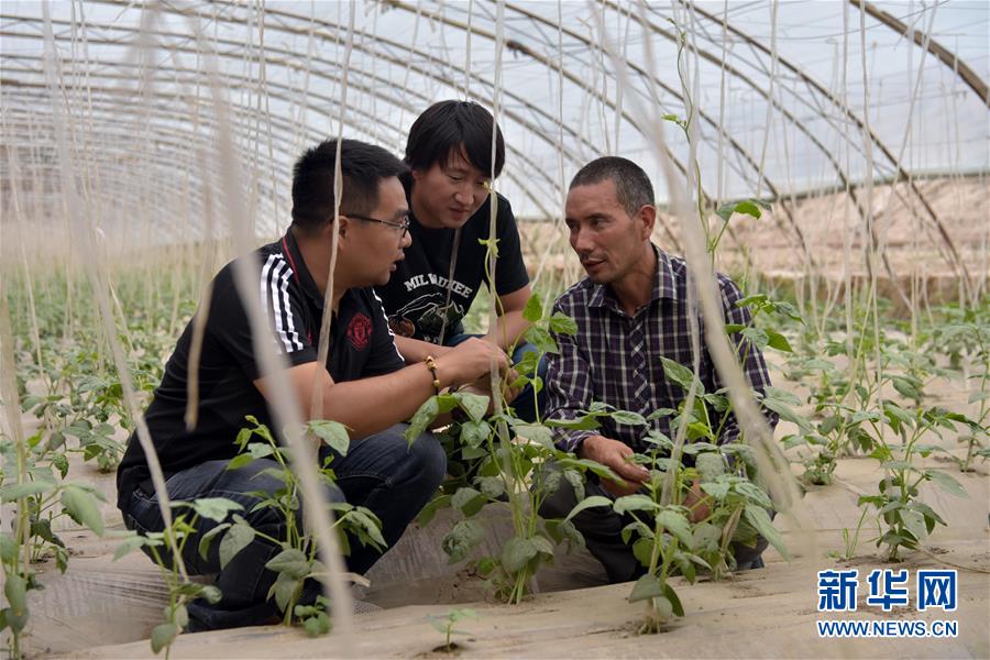 （新華全媒頭條&middot;圖文互動(dòng)）（10）同心援疆，&ldquo;壯闊&rdquo;祖國(guó)西北角