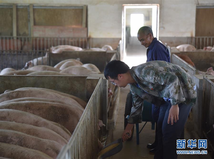 (新華全媒頭條·圖文互動)(2)咱們村里的年輕人——記奮戰(zhàn)在貴州脫貧攻堅一線的青年