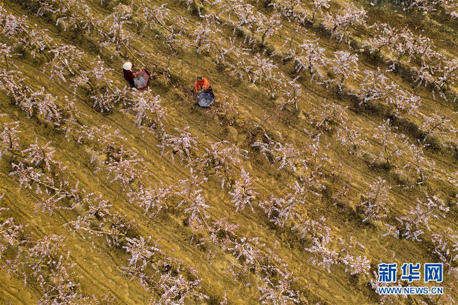 （在習近平新時代中國特色社會主義思想指引下&mdash;&mdash;新時代新作為新篇章&middot;圖文互動）（3）中條山下綠意濃&mdash;&mdash;一個&ldquo;資源窮縣&rdquo;的生態(tài)發(fā)展之路