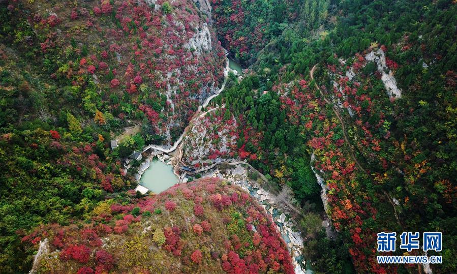 （壯麗70年&middot;奮斗新時代&mdash;&mdash;共和國發(fā)展成就巡禮&middot;圖文互動）（2）以&ldquo;綠色&rdquo;身姿站上發(fā)展前沿&mdash;&mdash;甘肅綠色轉(zhuǎn)型發(fā)展紀(jì)實