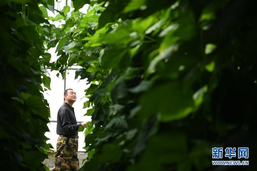 （壯麗70年&middot;奮斗新時代&mdash;&mdash;共和國發(fā)展成就巡禮&middot;圖文互動）（7）以&ldquo;綠色&rdquo;身姿站上發(fā)展前沿&mdash;&mdash;甘肅綠色轉(zhuǎn)型發(fā)展紀(jì)實