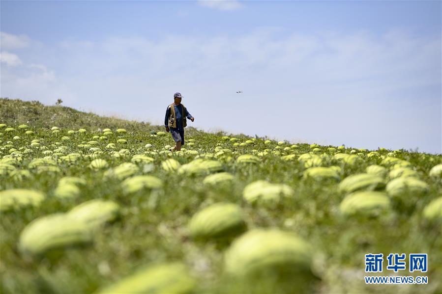 （壯麗70年&middot;奮斗新時代&mdash;&mdash;共和國發(fā)展成就巡禮&middot;圖文互動）（4）生態(tài)美、百姓富&mdash;&mdash;品讀嶄新&ldquo;寧夏畫卷&rdquo;