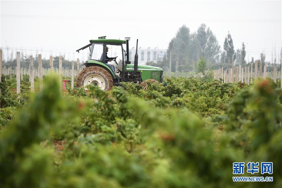 （壯麗70年&middot;奮斗新時代&mdash;&mdash;共和國發(fā)展成就巡禮&middot;圖文互動）（10）生態(tài)美、百姓富&mdash;&mdash;品讀嶄新&ldquo;寧夏畫卷&rdquo;
