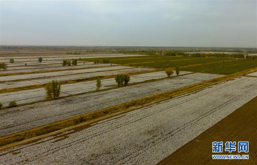 (壯麗70年·奮斗新時(shí)代——共和國(guó)發(fā)展成就巡禮·圖文互動(dòng))(1)鑄劍為犁造綠洲 安邊固疆筑“長(zhǎng)城”——新疆生產(chǎn)建設(shè)兵團(tuán)維穩(wěn)戍邊改革發(fā)展紀(jì)實(shí)