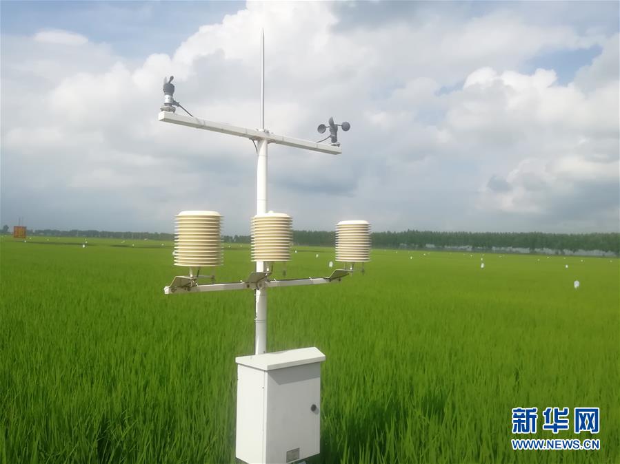 (在習(xí)近平新時(shí)代中國特色社會(huì)主義思想指引下——新時(shí)代新作為新篇章·圖文互動(dòng))(1)從“靠天吃飯”到“看天管理”——黑龍江創(chuàng)新氣象為農(nóng)服務(wù)體系觀察