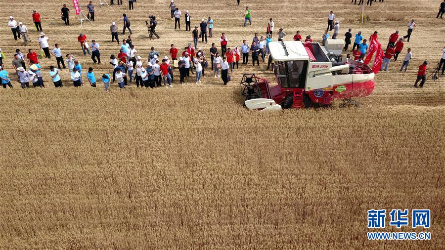 (壯麗70年·奮斗新時(shí)代——共和國發(fā)展成就巡禮)(3)看今朝齊風(fēng)魯韻 七十載芳華正勁——新中國成立以來山東領(lǐng)先發(fā)展紀(jì)實(shí)