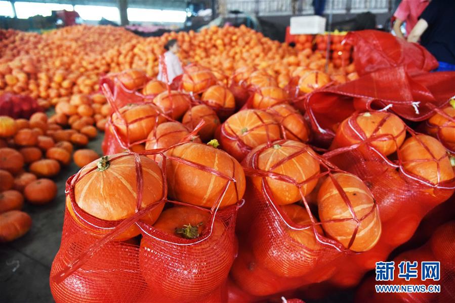 (壯麗70年·奮斗新時(shí)代——共和國發(fā)展成就巡禮)(6)看今朝齊風(fēng)魯韻 七十載芳華正勁——新中國成立以來山東領(lǐng)先發(fā)展紀(jì)實(shí)