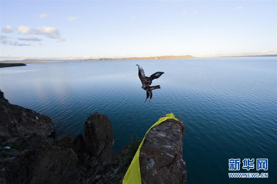 （今日關(guān)注&middot;第一屆國(guó)家公園論壇&middot;圖文互動(dòng)）（2）首個(gè)國(guó)家公園什么樣？專家?guī)阆?ldquo;睹&rdquo;為快