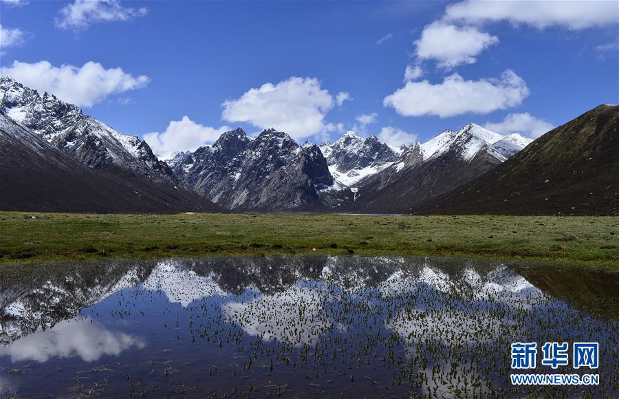 （今日關(guān)注&middot;第一屆國(guó)家公園論壇&middot;圖文互動(dòng)）（6）首個(gè)國(guó)家公園什么樣？專家?guī)阆?ldquo;睹&rdquo;為快