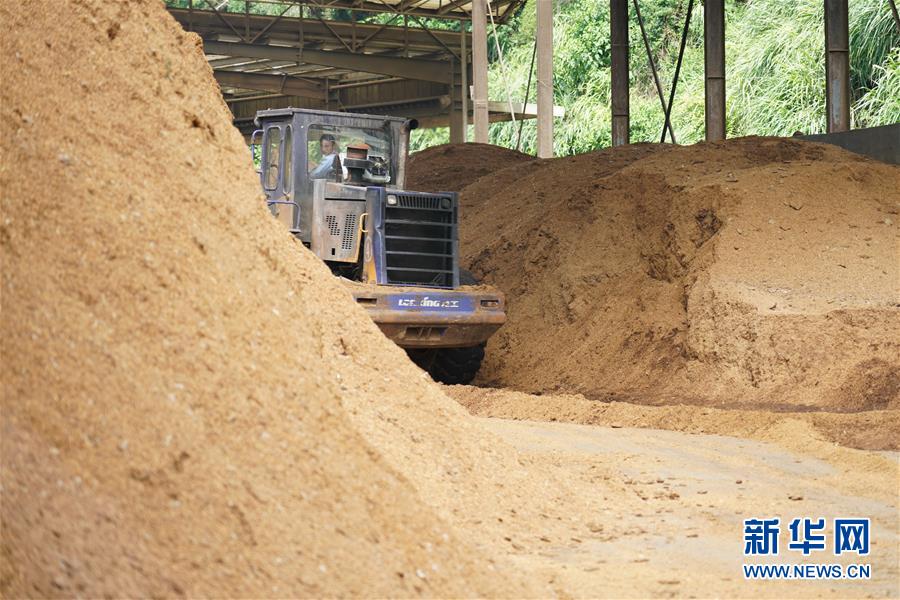 （在習(xí)近平新時(shí)代中國(guó)特色社會(huì)主義思想指引下&mdash;&mdash;新時(shí)代新作為新篇章&middot;總書(shū)記關(guān)心的百姓身邊事&middot;圖文互動(dòng)）（4）大污染變身&ldquo;大寶藏&rdquo;：治理畜禽糞污，他們這樣干！