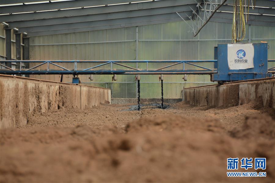 （在習(xí)近平新時(shí)代中國(guó)特色社會(huì)主義思想指引下&mdash;&mdash;新時(shí)代新作為新篇章&middot;總書(shū)記關(guān)心的百姓身邊事&middot;圖文互動(dòng)）（5）大污染變身&ldquo;大寶藏&rdquo;：治理畜禽糞污，他們這樣干！