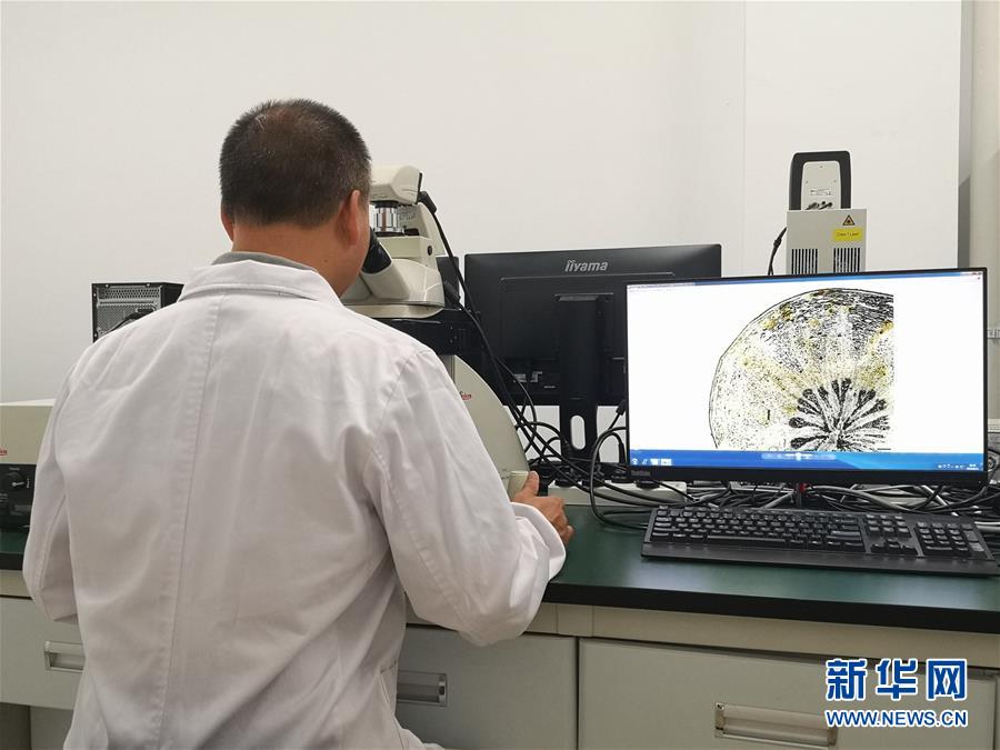 （新華調(diào)查&middot;新中國考古重大發(fā)現(xiàn)&middot;圖文互動(dòng)）（5）?；韬睿翰粌H僅是&ldquo;黃金大墓&rdquo;