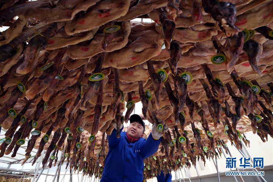 （壯麗70年&middot;奮斗新時(shí)代&mdash;&mdash;共和國發(fā)展成就巡禮&middot;圖文互動(dòng)）（3）人民至上的生動(dòng)實(shí)踐&mdash;&mdash;共和國民生發(fā)展成就巡禮