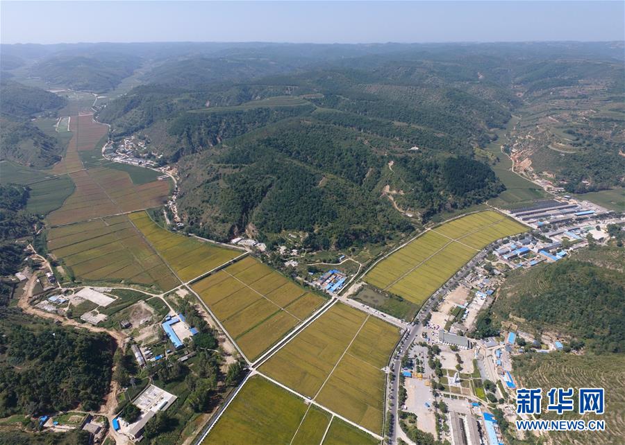 (圖文互動)(1)荒土換青山 林海淘真金——延安退耕還林20載造就綠色奇跡