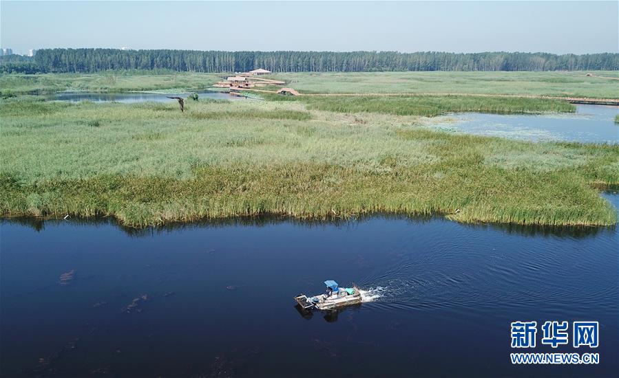 （壯麗70年&middot;奮斗新時代&middot;重溫囑托看變化&middot;圖文互動）（4）雄安新區(qū)：錨定高質(zhì)量發(fā)展　奮力書寫新時代答卷