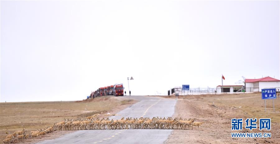 (新華全媒頭條·圖文互動(dòng))(4)確保“中華水塔”碧水東流——中國(guó)三江源生態(tài)保護(hù)報(bào)告