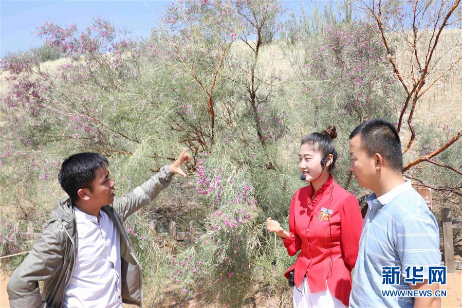 (走讀黃河·圖文互動(dòng))(2)中衛(wèi):33萬畝沙區(qū)變灌區(qū)