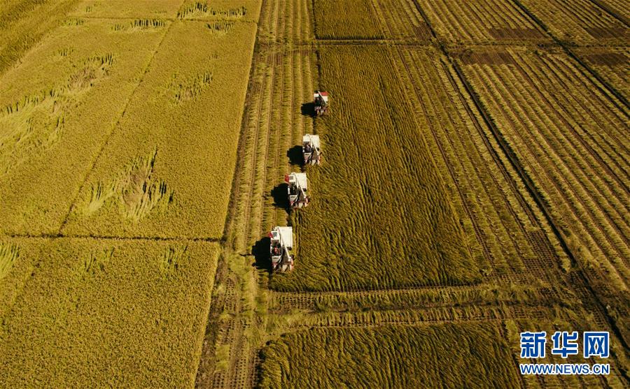 （新華全媒頭條&middot;圖文互動(dòng)）（5）紅色的傳承，藍(lán)圖的起點(diǎn)&mdash;&mdash;新中國孕育與發(fā)展的&ldquo;東北記憶&rdquo;